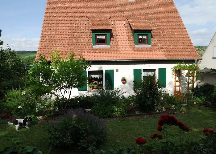 Geiernest *