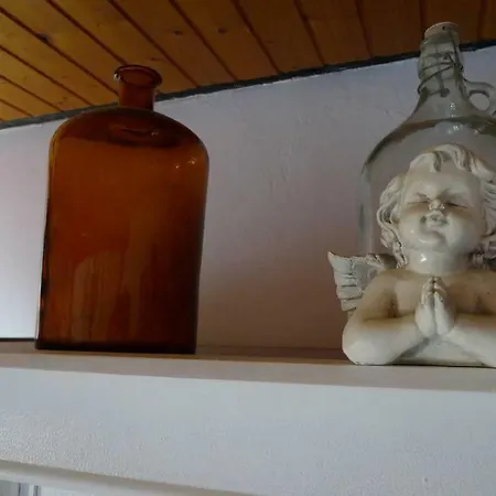 Geiernest Apartment *